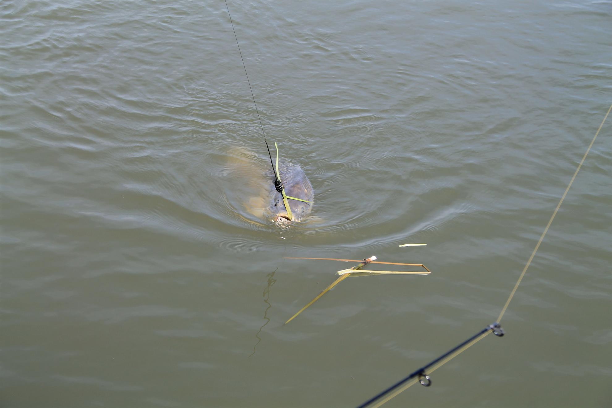 Nagykallo 2013 FedeerTeamUnique - nagykallo-aprilie2013-164.JPG